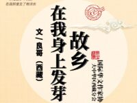 良哥丨故乡在我身上发芽