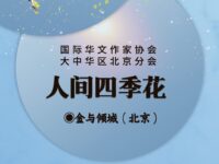 金與倾城丨人间四季花