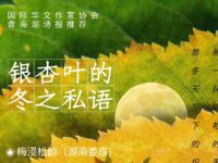 梅浸松韵丨银杏叶的冬之私语