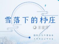 王宏宇丨雪落下的村庄
