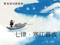 杨丽萍丨七律•寒江暮夜（外三阕）