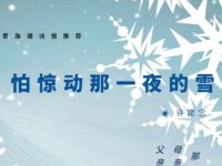 许建忠丨怕惊动那一夜的雪