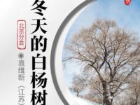 袁维新丨冬天的白杨树