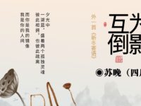 苏晚｜互为倒影（外一首）