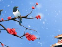 青凝｜黑鸦（外一首）