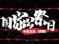 吴志良丨国家公祭日