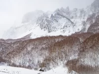 寒冰丨在一场大雪中迷失（外一首）