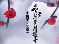 梅子丨冬至，与岁月握手