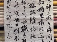 童小汐丨鹧鸪天•新年居家即事三阕(并书)