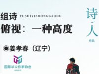 姜孝春丨俯视:一种高度(组诗)