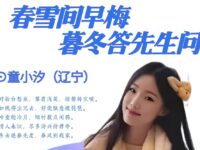童小汐|春雪间早梅•暮冬答先生问