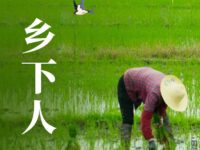 牧童｜乡下人 ​ ​