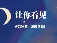 刘冰鉴｜让你看见
