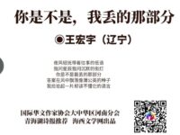 王宏宇｜你是不是，我丢的那部分