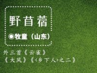 牧童｜野苜蓿（外三首）