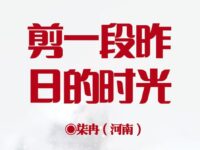 柒冉｜剪一段昨日的时光