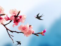 葛建民｜立春的邮戳