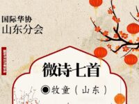 牧童｜微诗七首