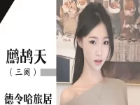 童小汐|鹧鸪天•德令哈旅居日常即事(三阕)
