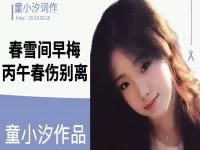 童小汐|春雪间早梅•丙午春伤别离