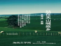 寒冰｜站在天山喊故乡