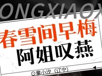童小汐|春雪间早梅•阿姐叹燕