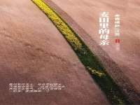 袁维新｜麦田里的母亲