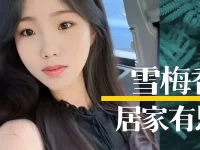 童小汐｜雪梅香•居家有思