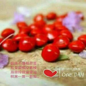 倚门回首嗅青梅