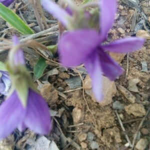 南方云（任孝伟）