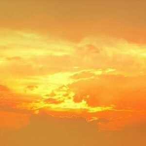 寒艳不招春妒(建彪）