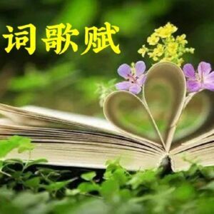 ——海西文学刊