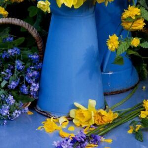 梁文君（山东）