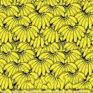 罗丽敏（蕉蕉）