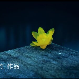 江上芦花